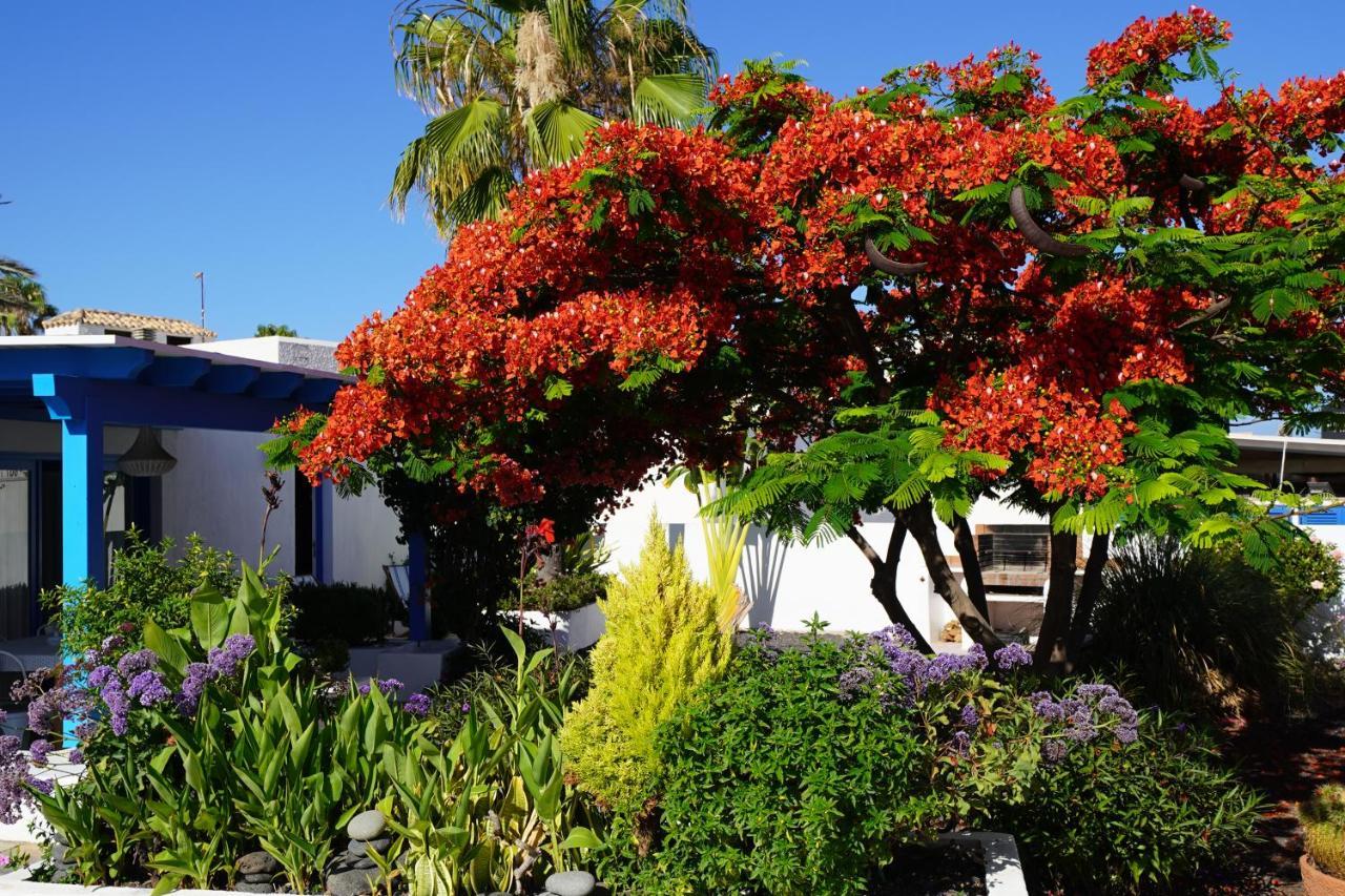 Timfay Villa Corralejo Bagian luar foto
