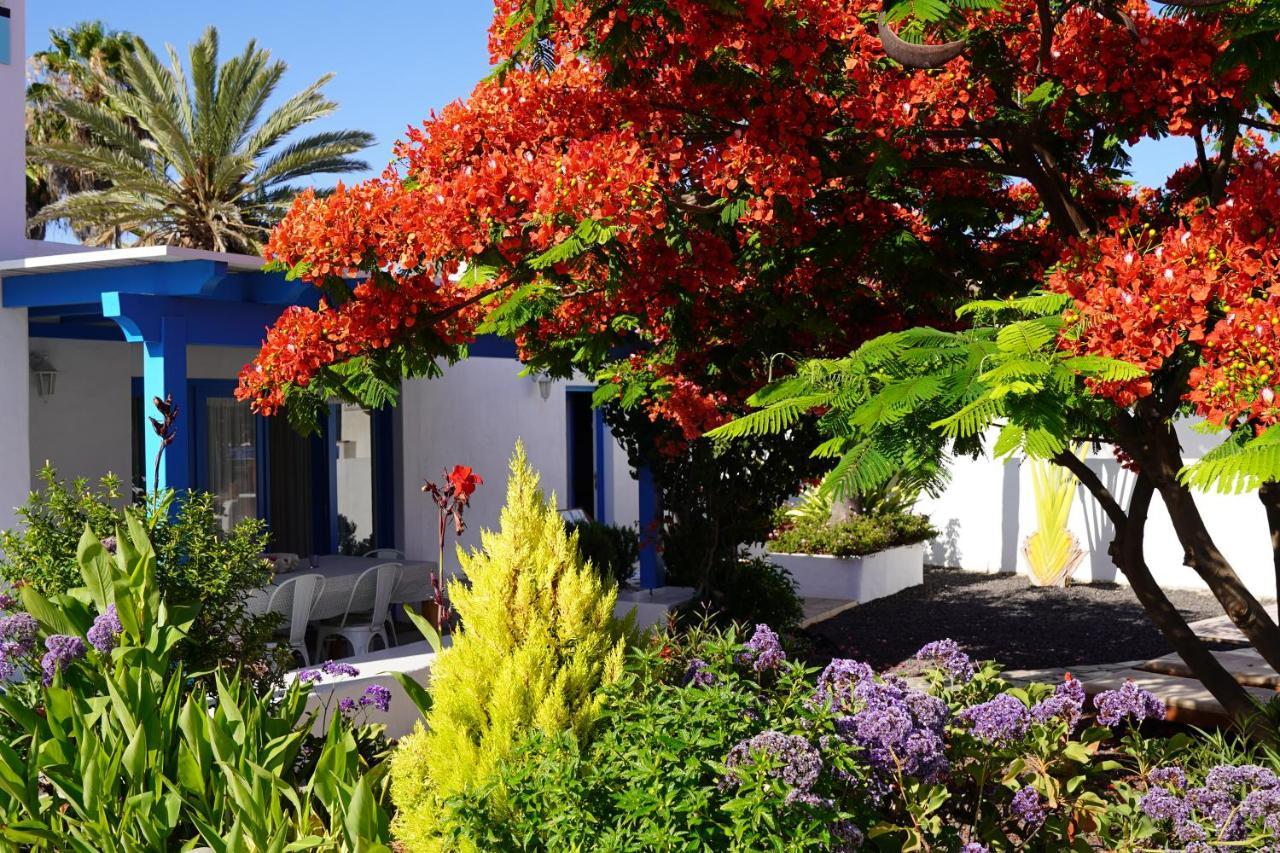 Timfay Villa Corralejo Bagian luar foto