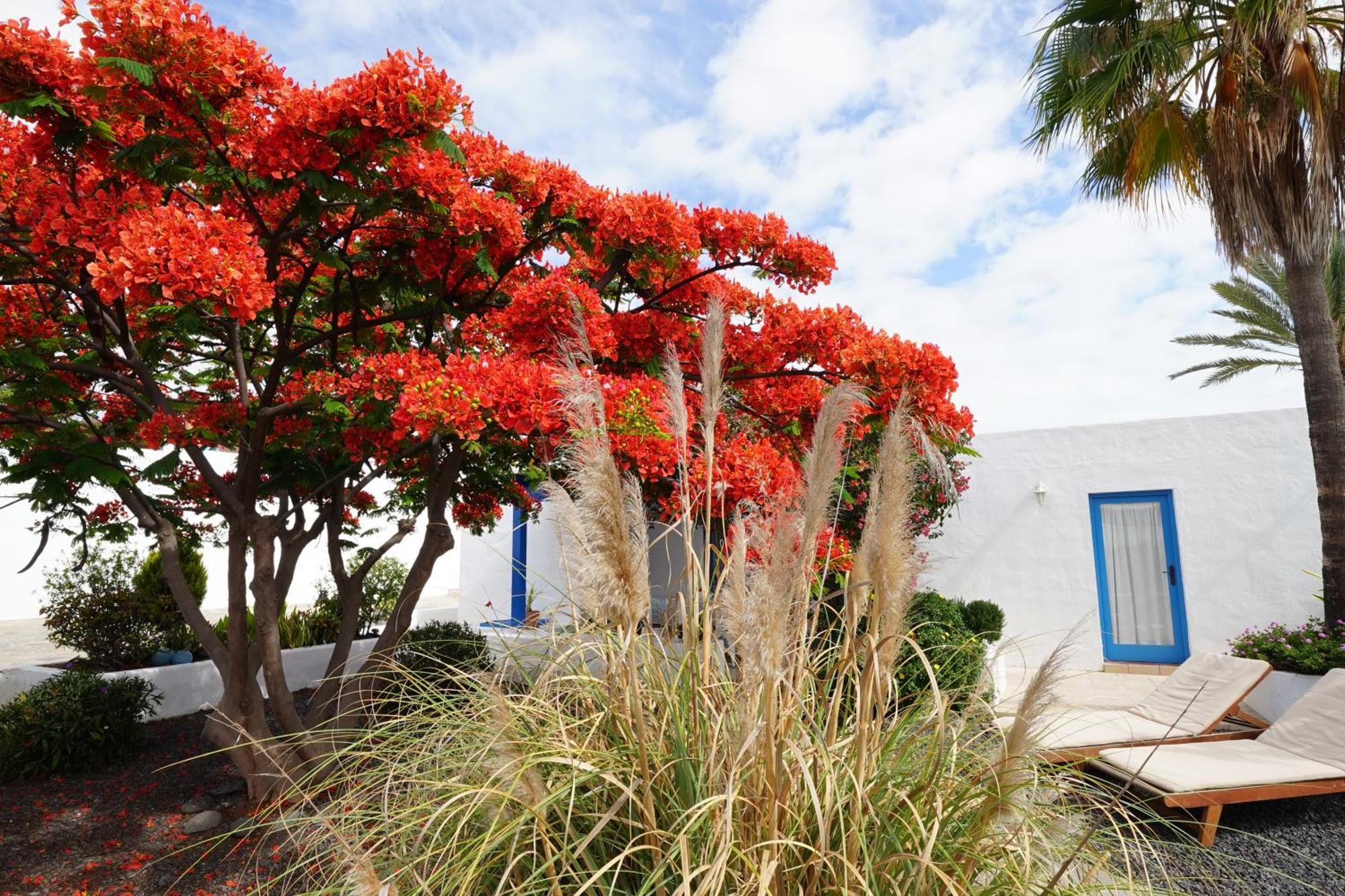 Timfay Villa Corralejo Bagian luar foto