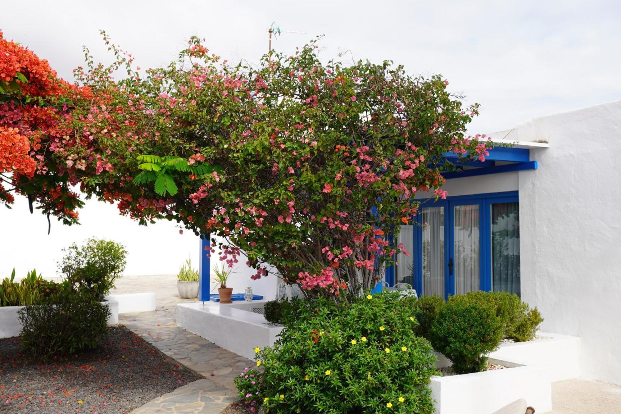 Timfay Villa Corralejo Bagian luar foto